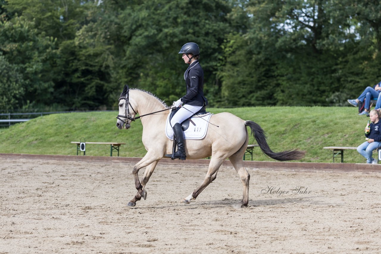 Bild 662 - Pony Akademie Turnier